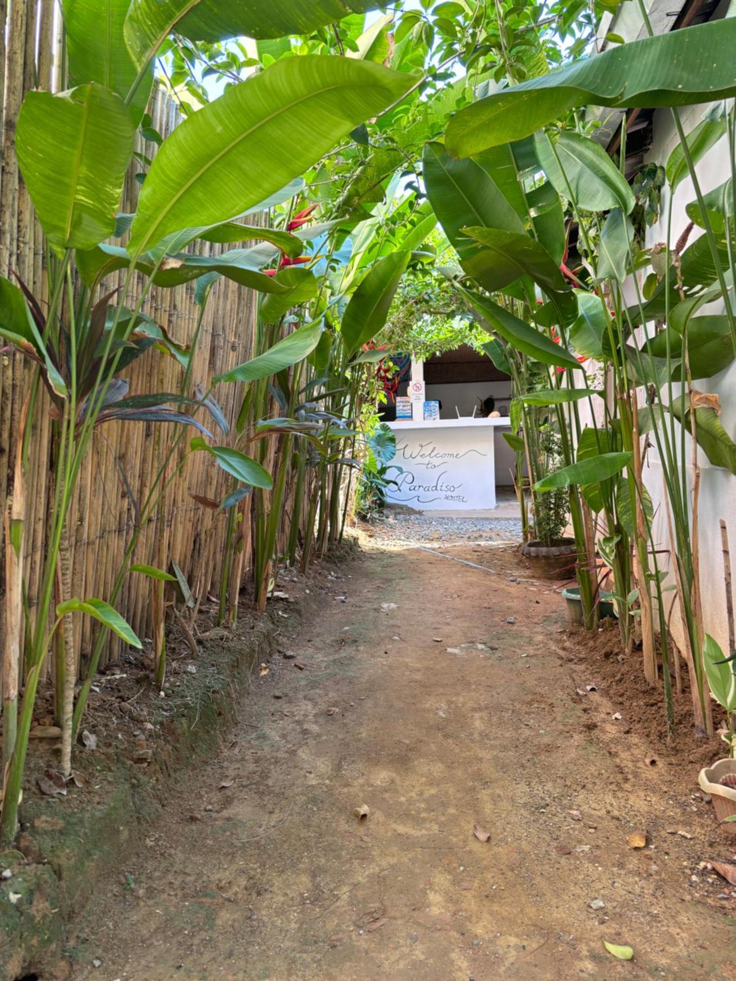 Paradiso Hostel إل نيدو المظهر الخارجي الصورة